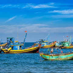 Tuyệt đối không để tàu cá Việt Nam khai thác hải sản bất hợp pháp ở nước ngoài